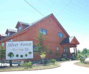 Silver Forest Rest Loage