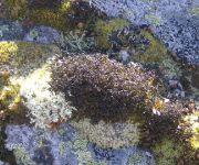 Innerkratzerhof 4 Appartements