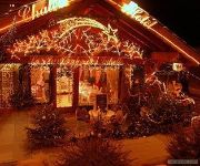 Le Printemps de Juliette