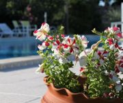 Monte da Serralheira