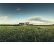 Oaklands Country Manor