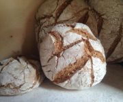 Bioagriturismo Podere Pretoia