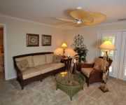 VERVE ON COTTON TREE