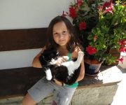 Bauernhof Bethuberhof