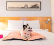 ibis Coimbatore City Centre (Opening April 2017)