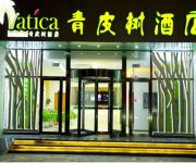 Vatica Chinese Only