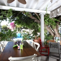 Hotel Marina Vista Bodrum 4 Hrs Star Hotel In Bodrum Mugla