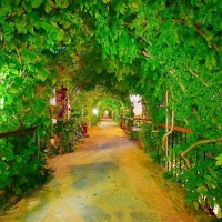 Tropicana Beach Hotel In Bodrum Mugla Hrs