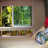Hotel Casa Comalli Spa In Comala Colima Hrs