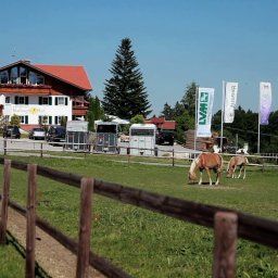Haflingerhof Landhotel - Seeg