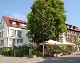 Ochsen