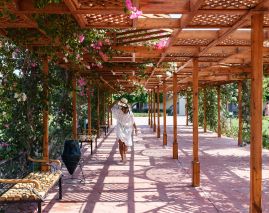 Desert Rose Resort