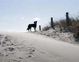 Loods Hotel Vlieland
