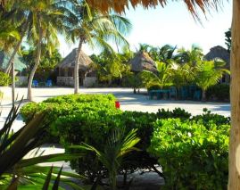 Costa De Cocos
