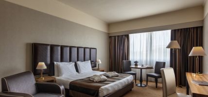 Holiday Inn ROME - EUR PARCO DEI MEDICI (Rzym)