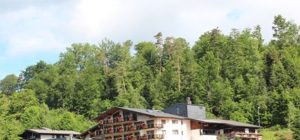 Ringhotel Mönchs Waldhotel (Unterreichenbach)
