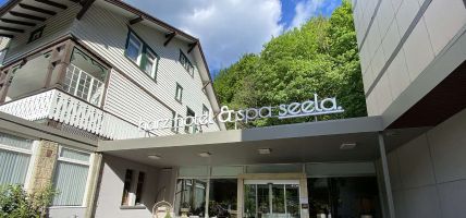 Seela Sporthotel + Schönheitsfarm (Bad Harzburg)
