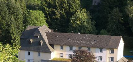 Hotel Dampfmühle (Enkirch)