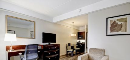 Holiday Inn & Suites WINDSOR (AMBASSADOR BRIDGE) (Windsor)
