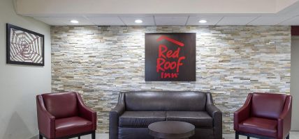 Red Roof Inn Tampa Bay - St Petersburg (St Pete Beach)