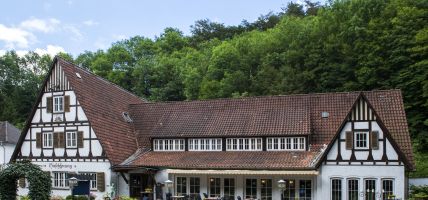 Hotel Hirschsprung Landhaus (Detmold)