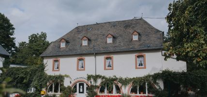 Hotel Karlsmühle Weingut (Mertesdorf)