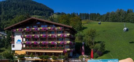 Alpin Sporthotel (Zell am See)