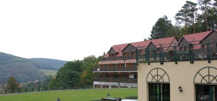Les Violettes Hotel & SPA Alsace BW Premier Collection® (Soultz-Haut-Rhin)
