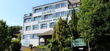 Waldhotel Soodener Hof Benessere Hotel (German Fairy Tale Route)