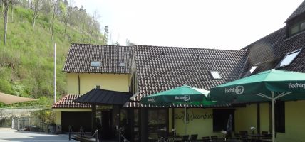 Hotel Zum Wasserfall Gasthof (Oberndorf am Neckar)