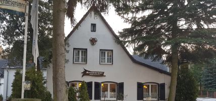 Hotel Ochsenkopf Landgut (Kemberg)