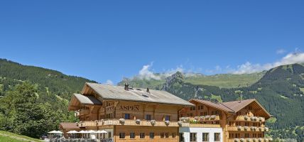 Aspen alpin lifestyle hotel (Grindelwald)