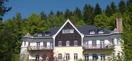 Hotel Villa Wilisch (Amtsberg)