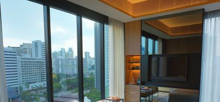 InterContinental Hotels SINGAPORE ROBERTSON QUAY (Singapur)