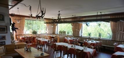 Hotel Birkenhof (Wald-Michelbach)
