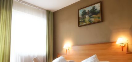 Hotel Rivulus (Baia Mare)