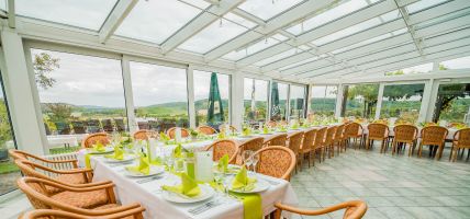 Villa Ilske Flair Hotel Restaurant (Naumburg - Bad Kösen)