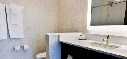 Holiday Inn Express & Suites JERSEY CITY - HOLLAND TUNNEL (Jersey City)