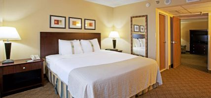 Holiday Inn & Suites BEAUMONT-PLAZA (I-10 & WALDEN) (Beaumont)