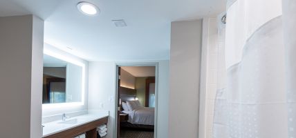 Holiday Inn Express & Suites ARLINGTON NORTH – STADIUM AREA (Arlington)