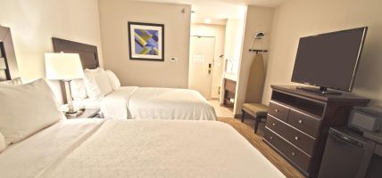 Holiday Inn Express & Suites CHICAGO-LIBERTYVILLE (Libertyville)