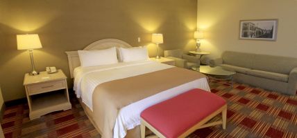 Holiday Inn MONCLOVA (Monclova)