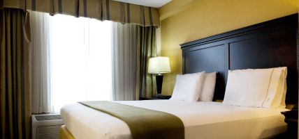 Holiday Inn Express & Suites DALLAS FT. WORTH AIRPORT SOUTH (Irving)