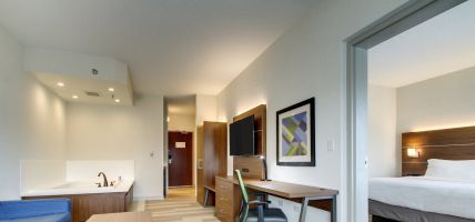 Holiday Inn Express & Suites AURORA - NAPERVILLE (Aurora)