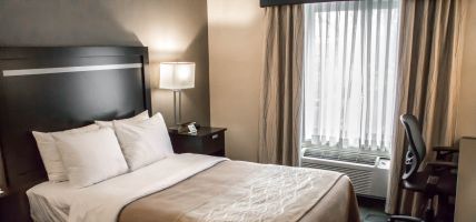 Holiday Inn Express & Suites ALBANY AIRPORT - WOLF ROAD (Albany)