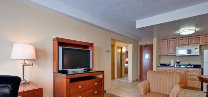 Holiday Inn Express & Suites LONDON DOWNTOWN (London)