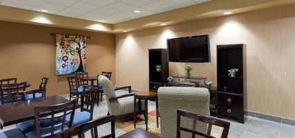 Holiday Inn Express & Suites ASHTABULA-GENEVA (Austinburg)