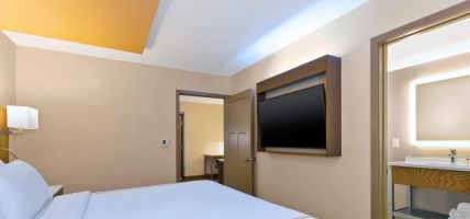 Holiday Inn Express & Suites ANN ARBOR (Ann Arbor)