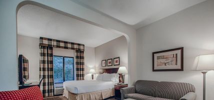 Holiday Inn Express & Suites ATLANTA-EMORY UNIVERSITY AREA (Decatur)