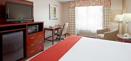 Holiday Inn Express & Suites COLLEGE STATION (College Station)
